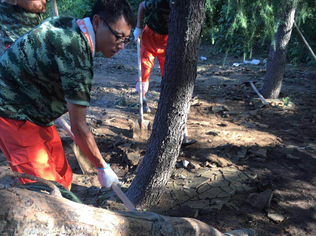 一方有难 八方支援 石化集团消防队驰援寿光灾区