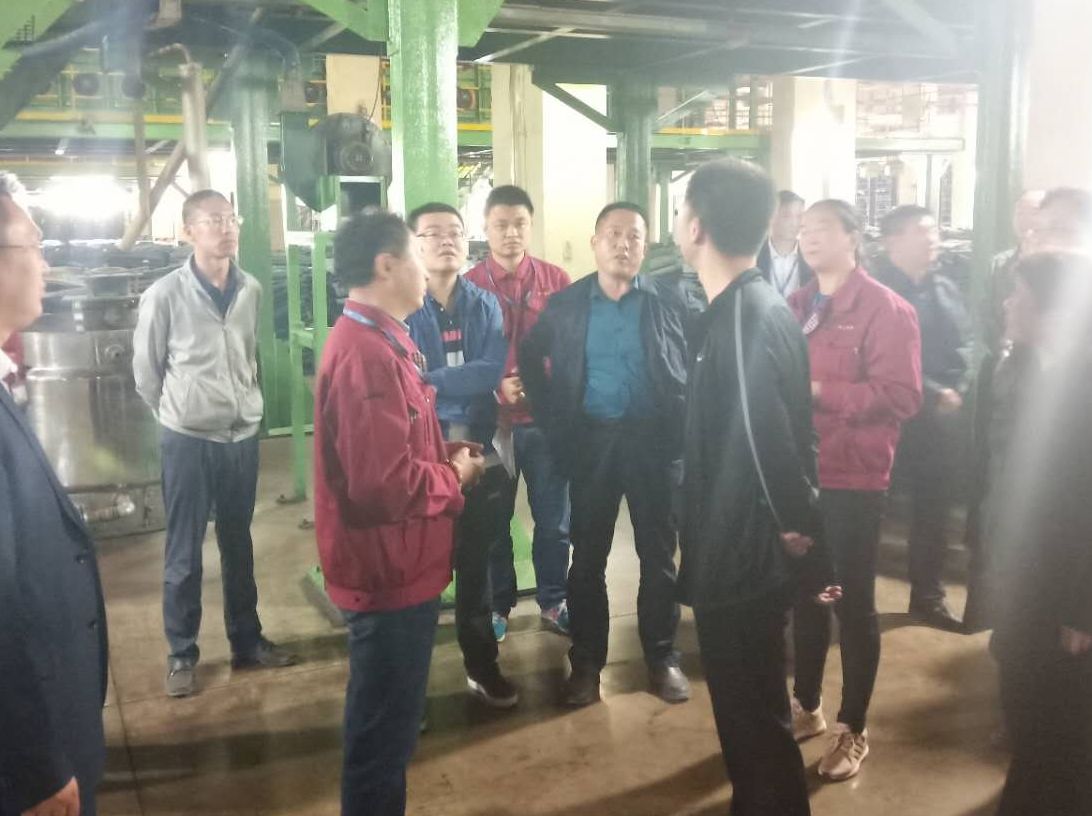 省环保厅第二轮大气督导检查组莅临橡胶集团检查指导