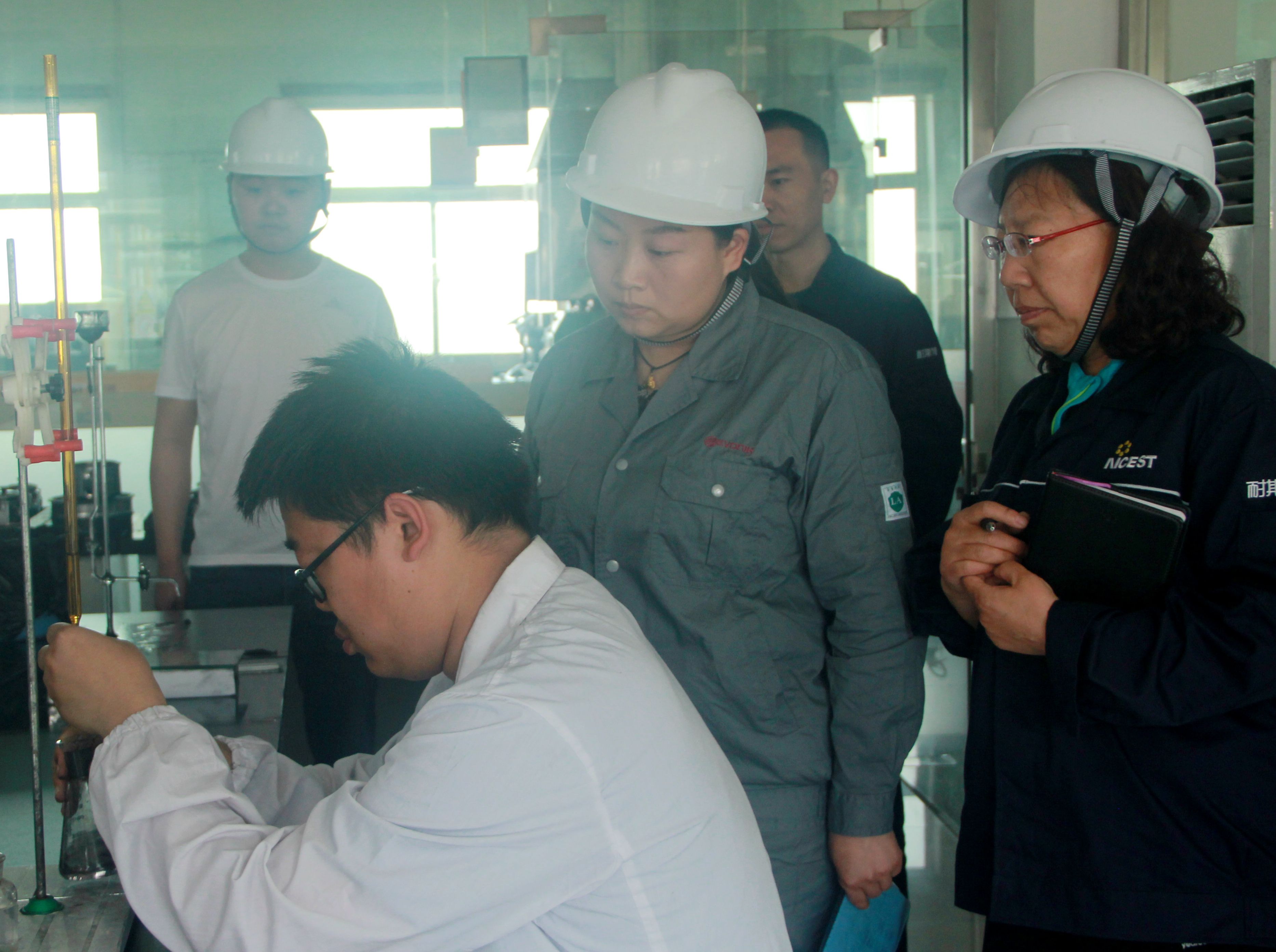 耐斯特顺利通过德国赢创岚星公司年审